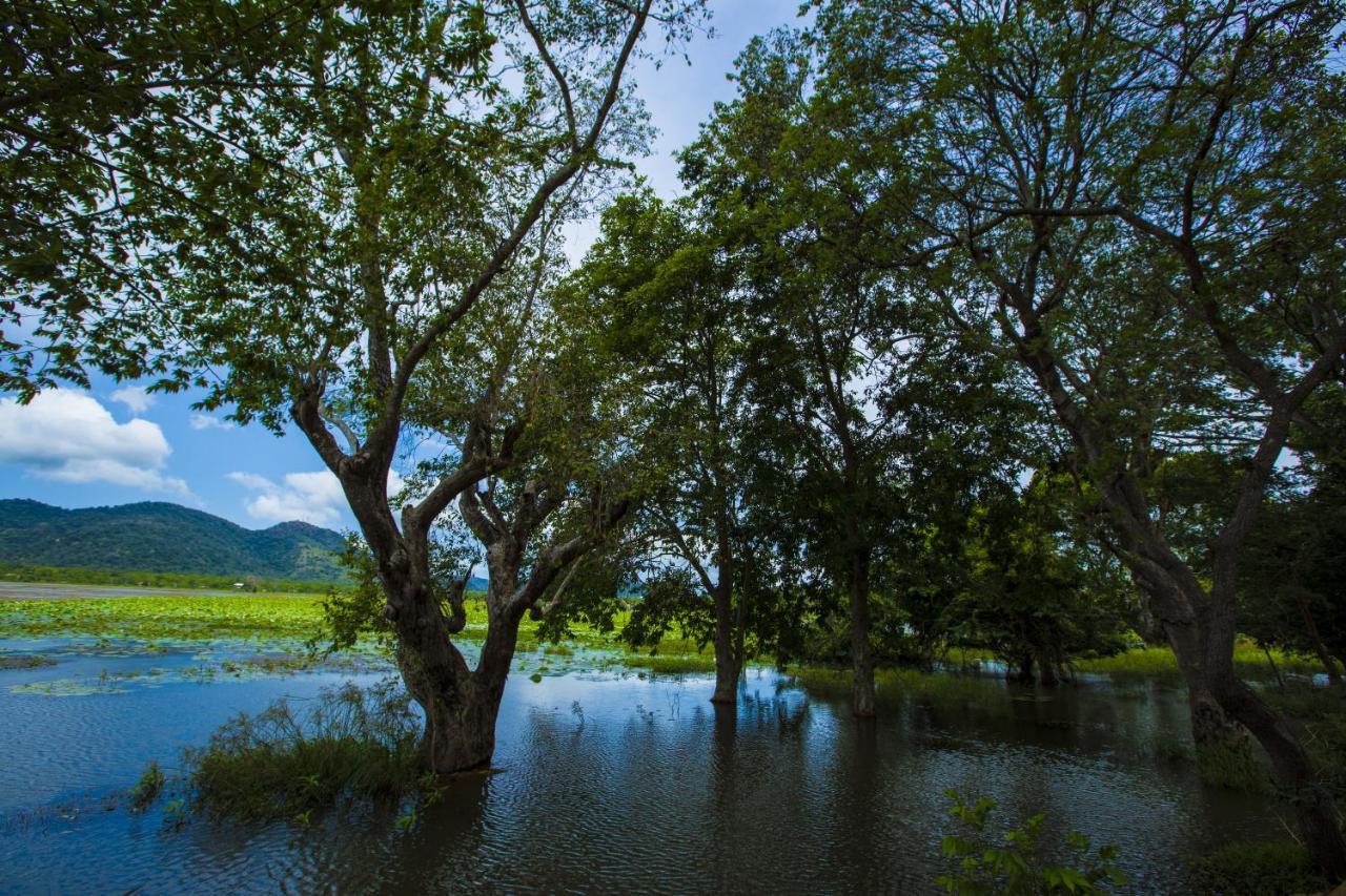 Grand Tamarind Lake Kataragama Dış mekan fotoğraf